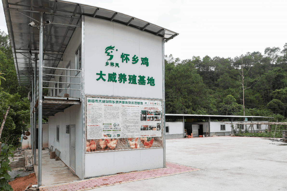 Slot香港娛樂城