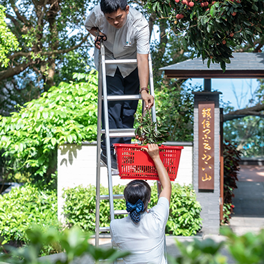 Slot香港娛樂城